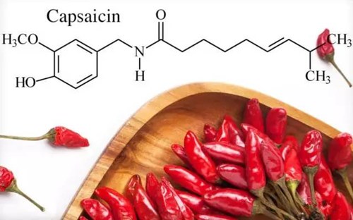 辣椒膏.jpg 辣椒膏.jpg