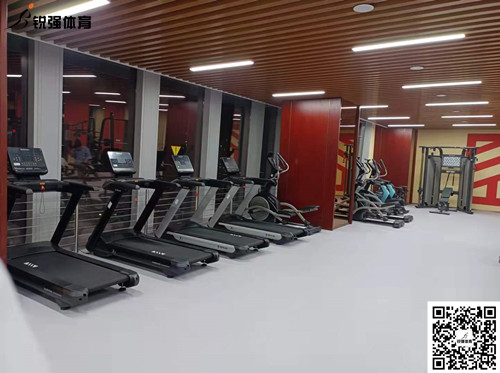 leyu.乐鱼完成的济南某部门单位健身房