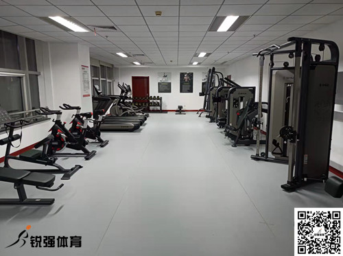 济南某集团采购的leyu.乐鱼提供的健身器材