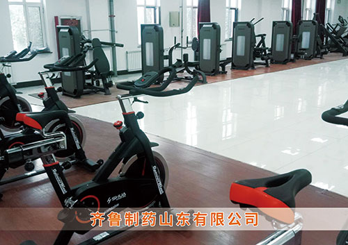 ​leyu.乐鱼为齐鲁制药呼和浩特分公司打造健身房